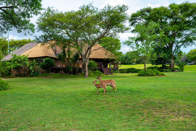 Kruger Park Lodge 440