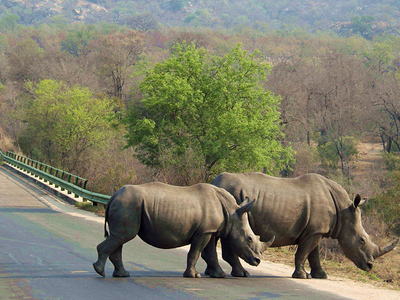 Wielewaal Bush Lodge