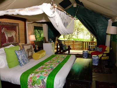 Zebra - Tent