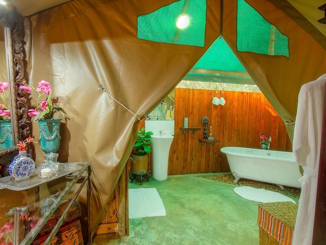 Zebra - Tent