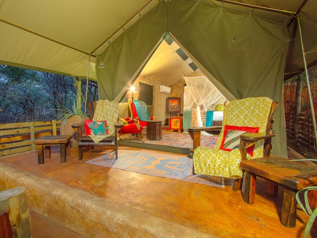 Giraffe - Tent