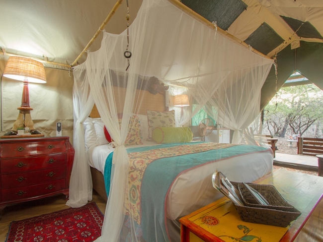 Giraffe - Tent