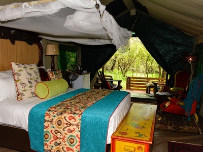 Giraffe - Tent