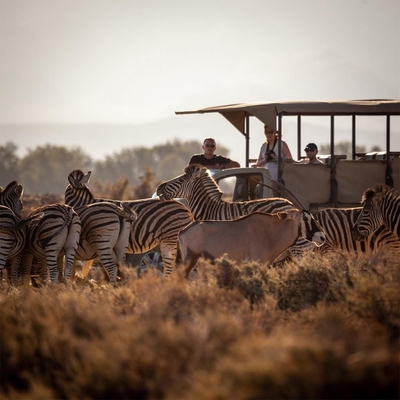 Kuganha Luxury Tented Lodge