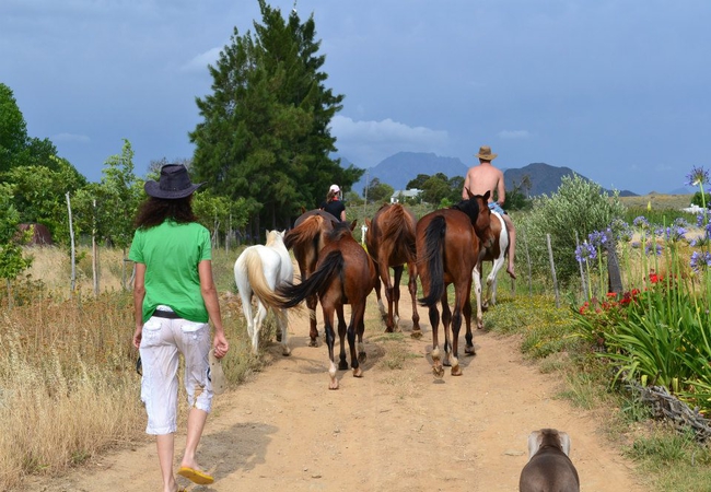Horse riding at Kuruma Farm Cottages