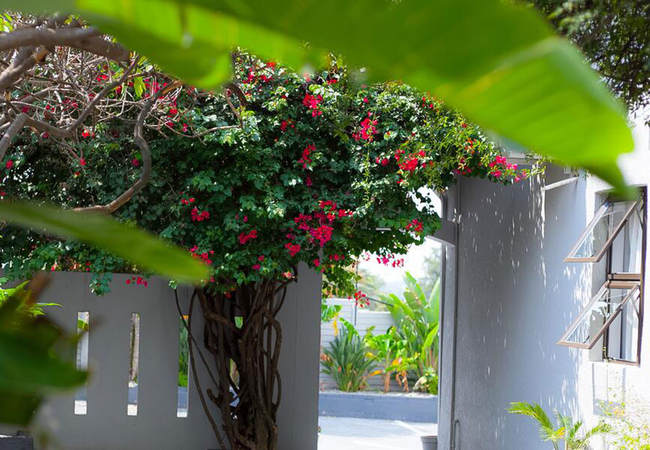 KV Luxury Guest House