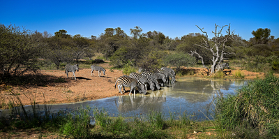 Kwalata Game Lodge
