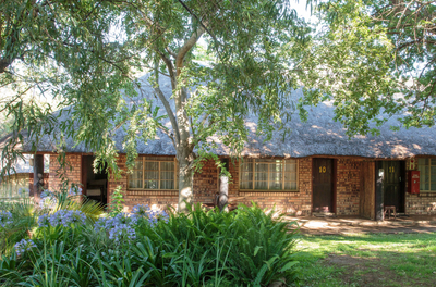 Thatch Adjoining