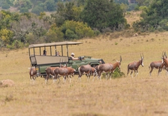 Kwantu Private Game Reserve
