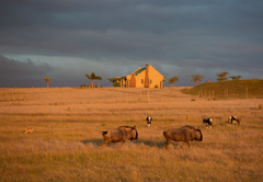 Kwetu Guest Farm