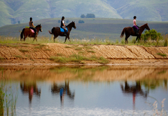 Horse riding tour of Kwetu Guest Farm