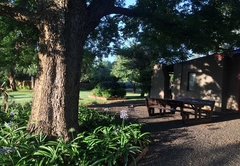 View from Pecan Tree