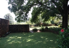 Garden Pecan Tree