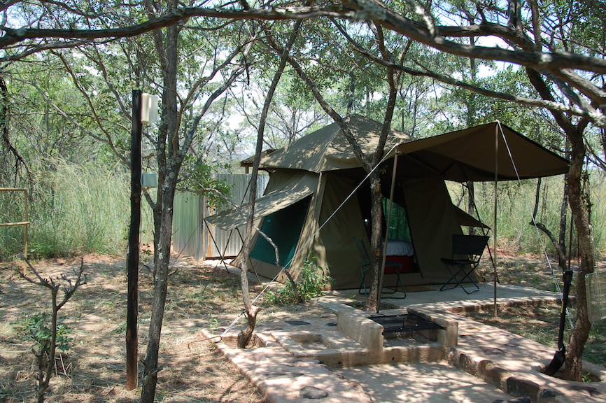 Bush Camp Tent