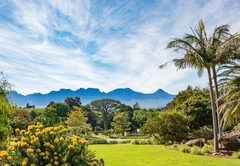 La Felicita Garden View