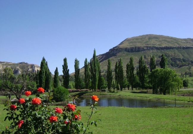 Lake Clarens Guest House cottage