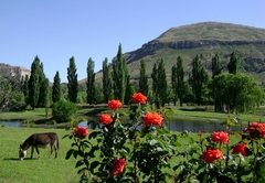 Lake Clarens Guest House cottage