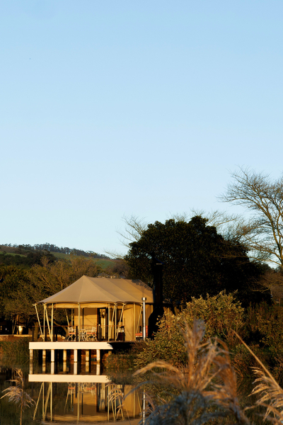Lakeside Glamping Blesbok