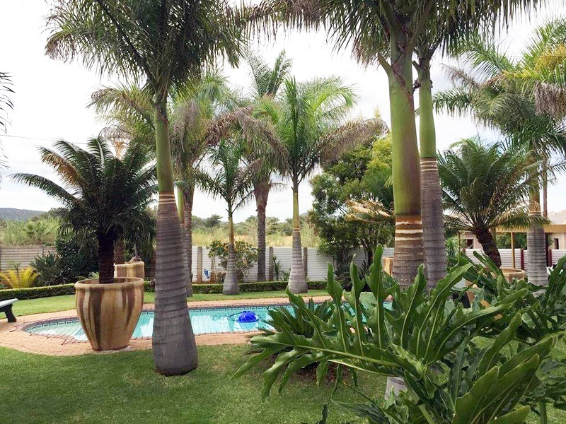 Lala Bela Guesthouse