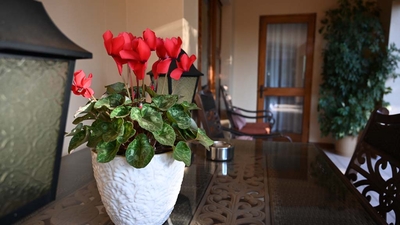 Lamor Guest House