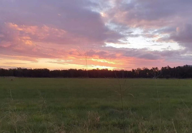 Landor Stud Farm Cottage