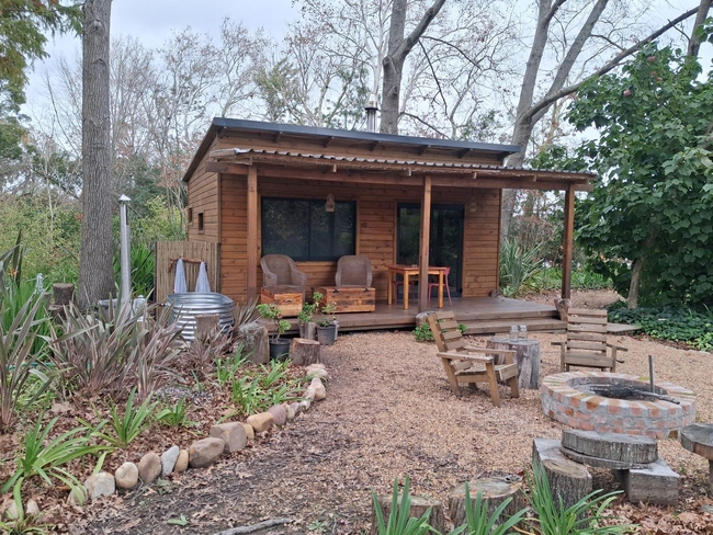 Cabin in the Woods