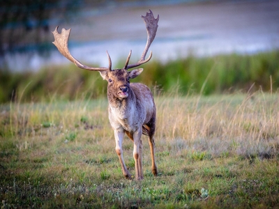 Exclusive Use Holiday Home