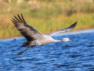 Exclusive Use Holiday Home