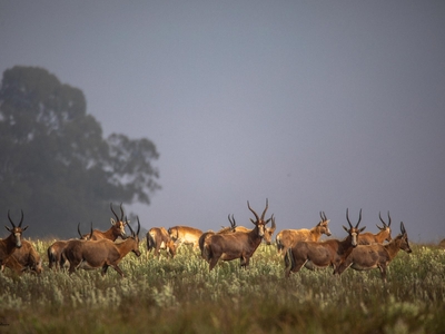 Exclusive Use Holiday Home