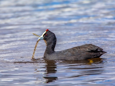 Exclusive Use Holiday Home