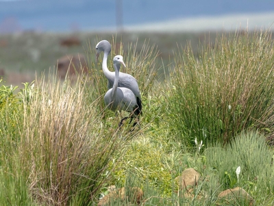 Exclusive Use Holiday Home