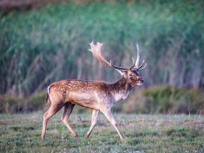 Exclusive Use Holiday Home