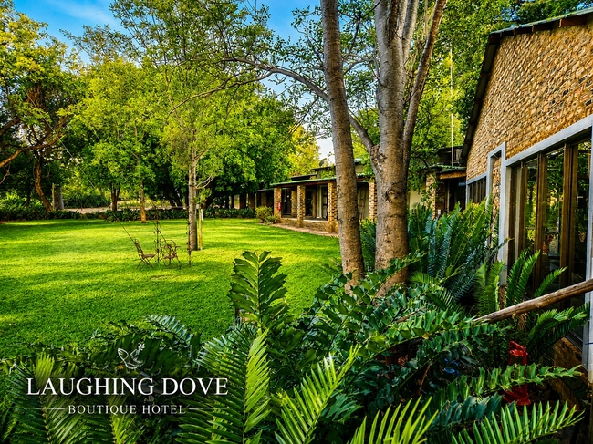 Laughing Dove Guesthouse