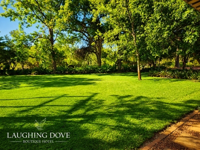 Laughing Dove Guesthouse
