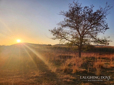 Laughing Dove Guesthouse