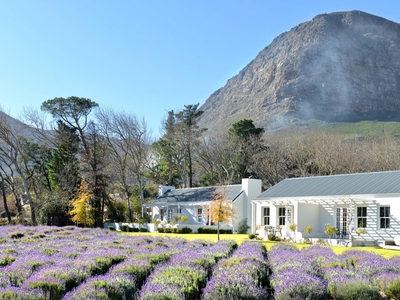 Lavender Farm Guesthouse