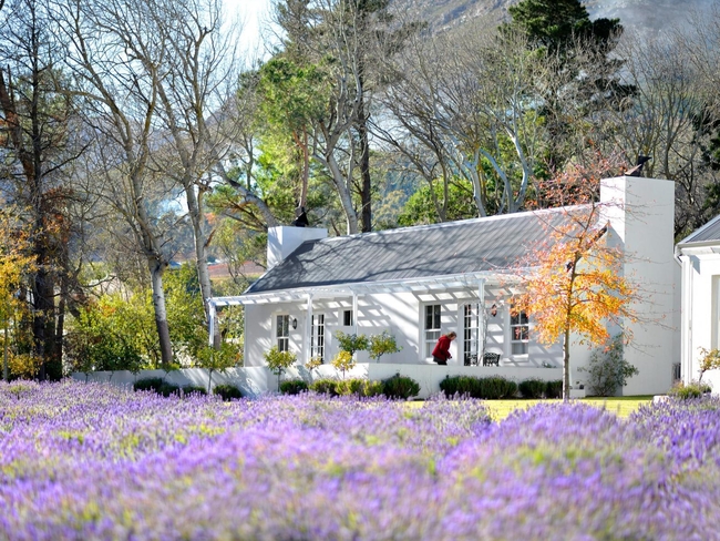 Lavender Farm Guesthouse