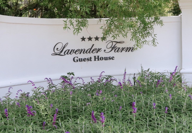 Lavender Farm Guesthouse