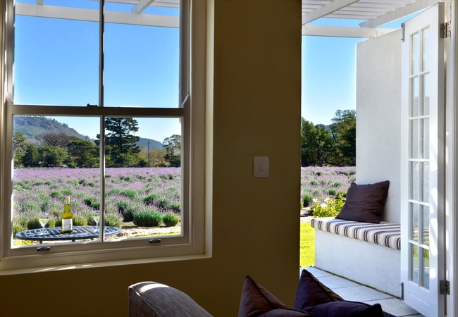 Lavender View Suite