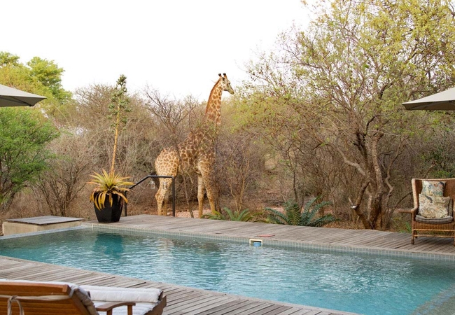 Lazy Leopard Lodge in Hoedspruit Wildlife Estate, Limpopo