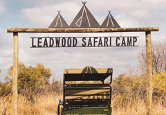Leadwood Safari Camp