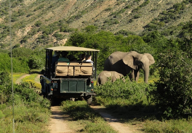 Game Drives