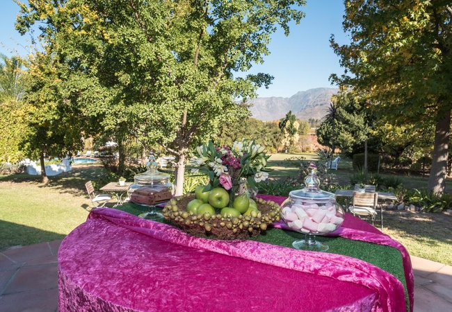 Breakfast patio with garden view