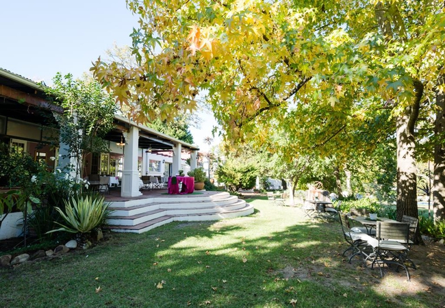 Breakfast patio garden view