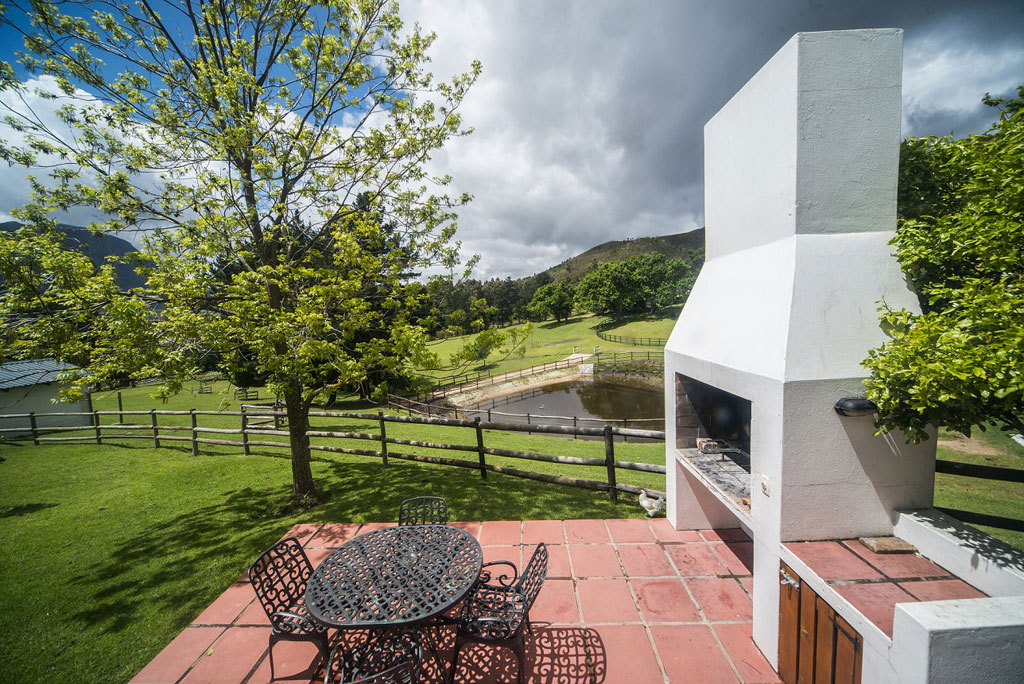 Lemon Tree @ High Season