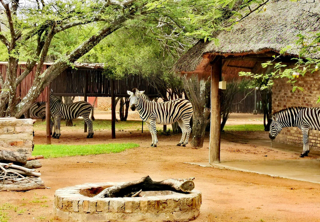 Leopardsong Game Lodge