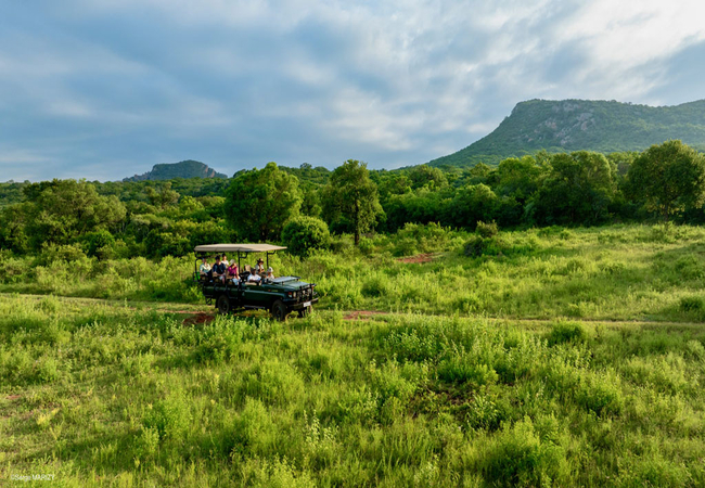 Leshiba Wilderness