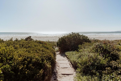 Lilla's Landing