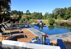 Lily Pond pool