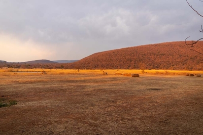  Bushbuck Cottage